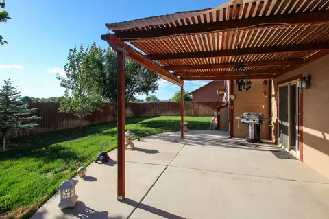 585 Cougar Run, Fruita, CO 81521 photo 28