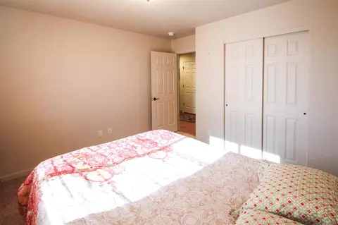 585 Cougar Run, Fruita, CO 81521 photo 25