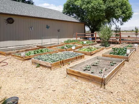 1774 Dell Ct, Fruita, CO 81521 photo 27