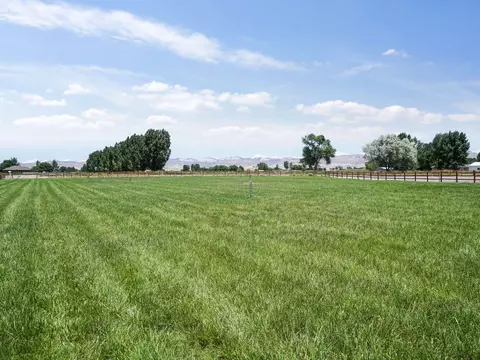 1774 Dell Ct, Fruita, CO 81521 photo 31