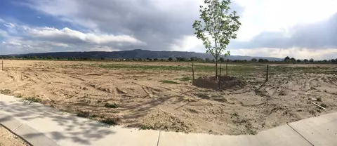 971 Gator Ct, Fruita, CO 81521 photo 9