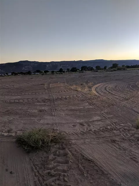 971 Gator Ct, Fruita, CO 81521 photo 4