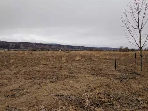 971 Gator Ct, Fruita, CO 81521 photo 7