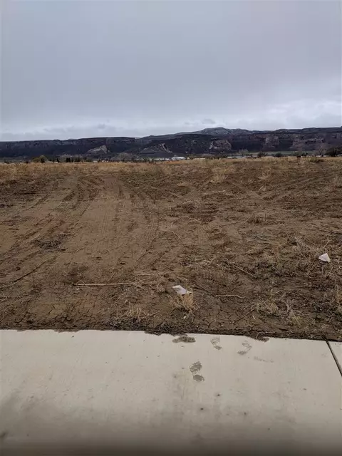 971 Gator Ct, Fruita, CO 81521 photo 6