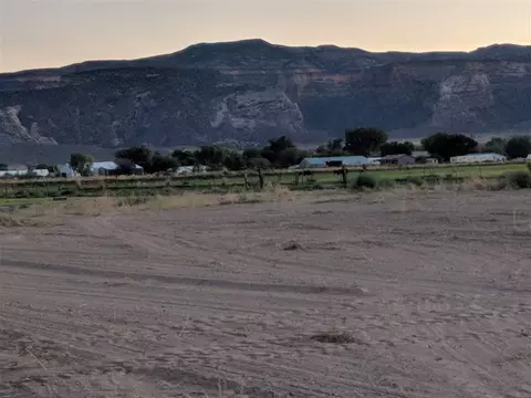 971 Gator Ct, Fruita, CO 81521 photo 2