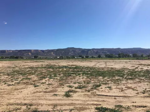 971 Gator Ct, Fruita, CO 81521 photo 8