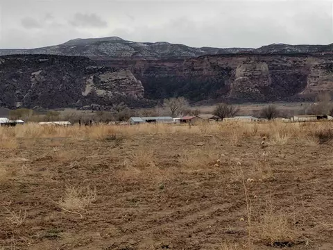 971 Gator Ct, Fruita, CO 81521 photo 5