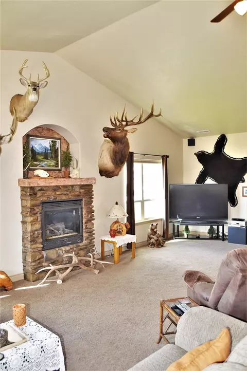 1079 Echo Canyon St, Fruita, CO 81521 photo 8
