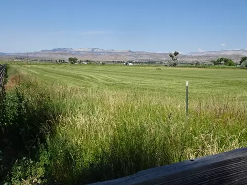 1994 45 12 Rd, De Beque, CO 81630 photo 6