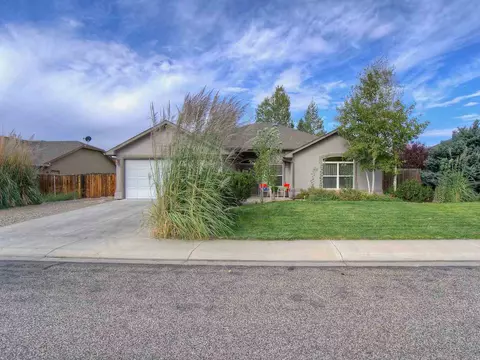 737 Silverplume Dr, Fruita, CO 81521 photo 1