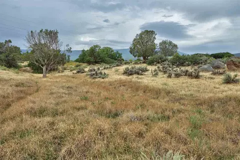 9867 49 14 Rd, Mesa, CO 81643 photo 35