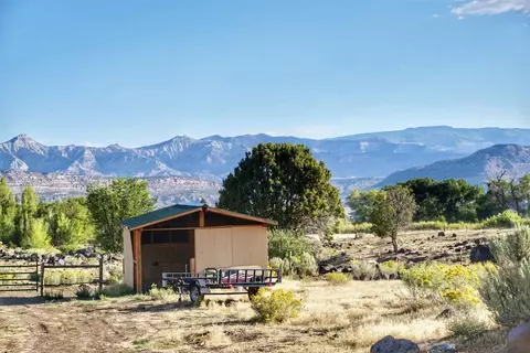 9867 49 14 Rd, Mesa, CO 81643 photo 34
