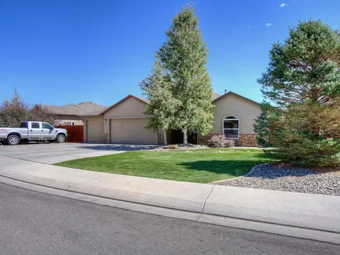 1022 Wingate Dr, Fruita, CO 81521 photo 3