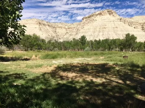 9101 County Road 2, Rangely, CO 81648 photo 27