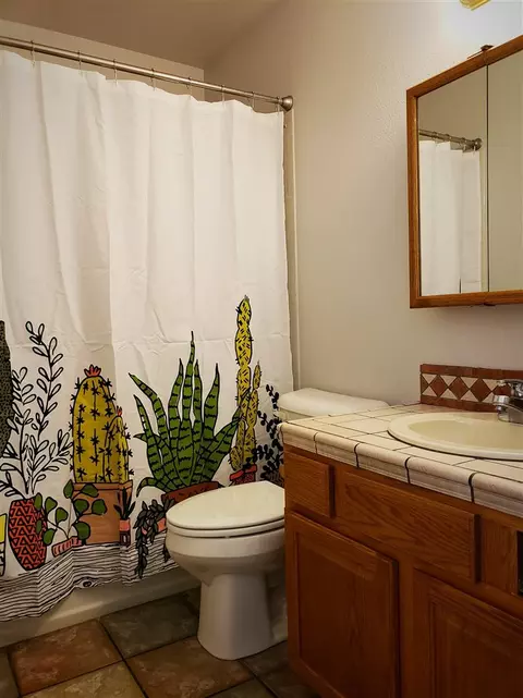 149 Pinyon Dr, Fruita, CO 81521 photo 13