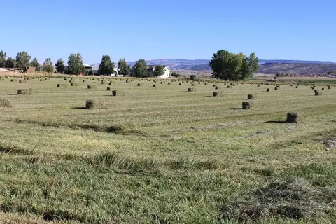 792 R Rd, Mack, CO 81525 photo 3