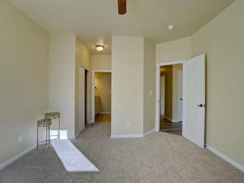 534 Gewont Ln, Fruita, CO 81521 photo 15