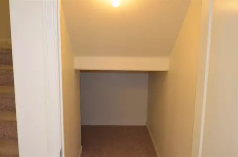 774 Delean Way, Fruita, CO 81521 photo 6