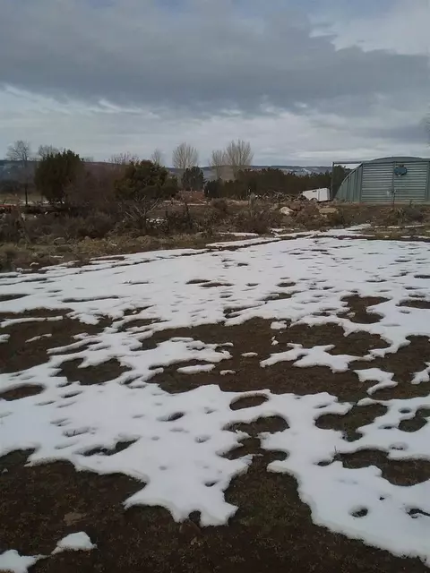 17825 Surface Creek Rd, Cedaredge, CO 81413 photo 6