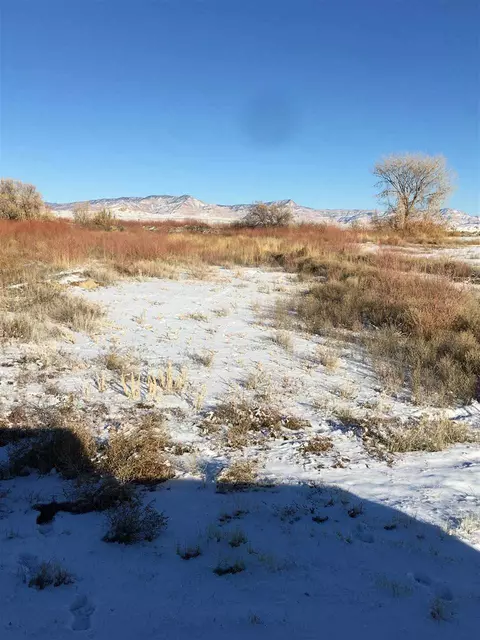 1908 O Rd, Fruita, CO 81521 photo 1