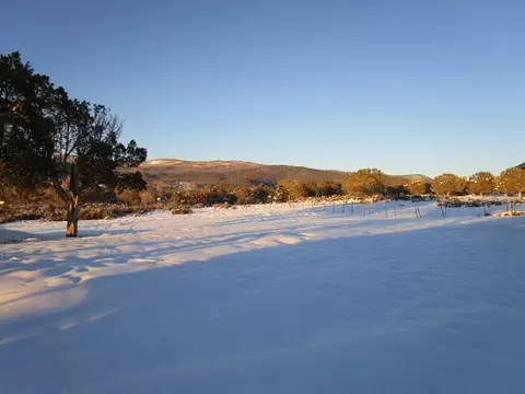 19822 2375 Rd, Cedaredge, CO 81413 photo 18