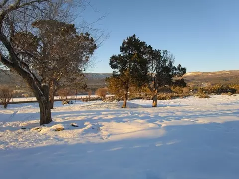 19822 2375 Rd, Cedaredge, CO 81413 photo 19