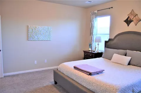 1084 Echo Canyon St, Fruita, CO 81521 photo 14