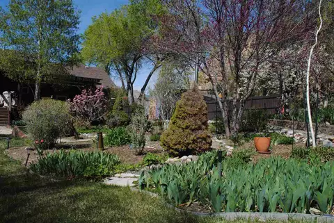 772 Castle Dr, Palisade, CO 81526 photo 25