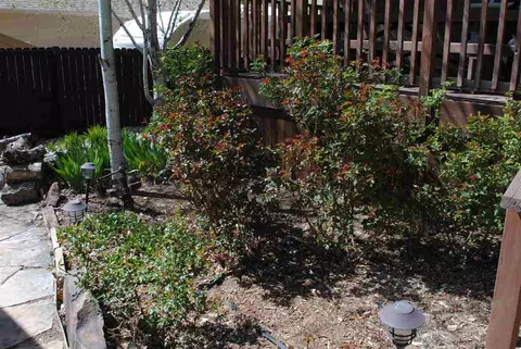 772 Castle Dr, Palisade, CO 81526 photo 36