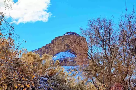 772 Castle Dr, Palisade, CO 81526 photo 39