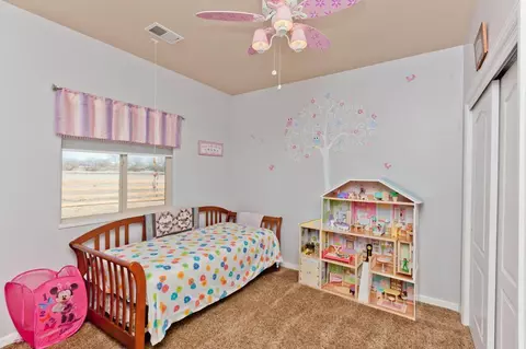 1755 Lucki Dr, Fruita, CO 81521 photo 16
