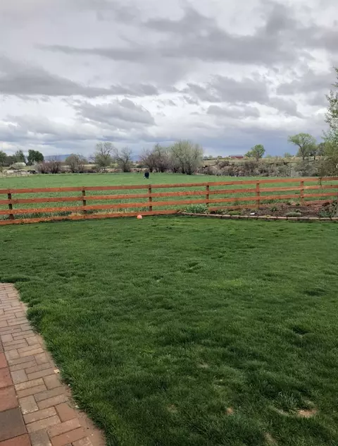 1755 Lucki Dr, Fruita, CO 81521 photo 39