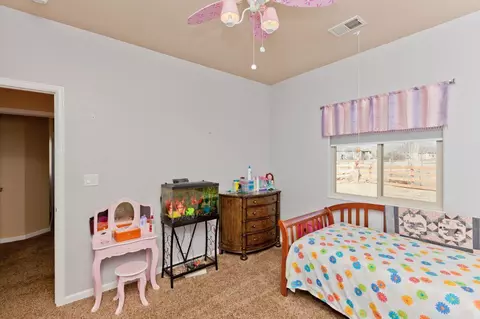 1755 Lucki Dr, Fruita, CO 81521 photo 17