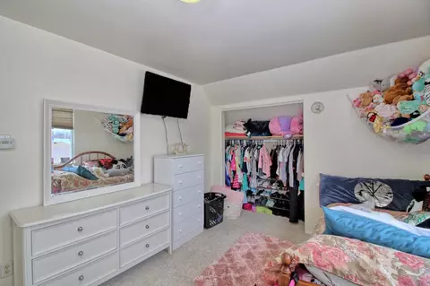 169 Sierra Dr, Fruita, CO 81521 photo 19