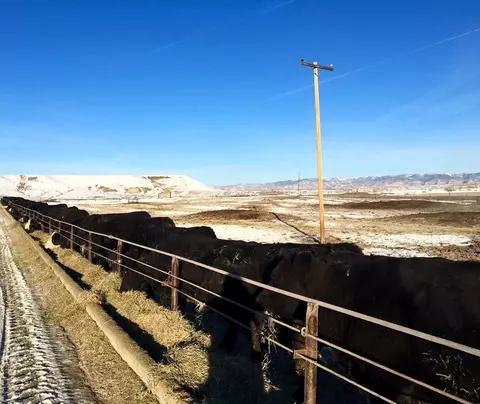 749 R Rd, Mack, CO 81525 photo 2