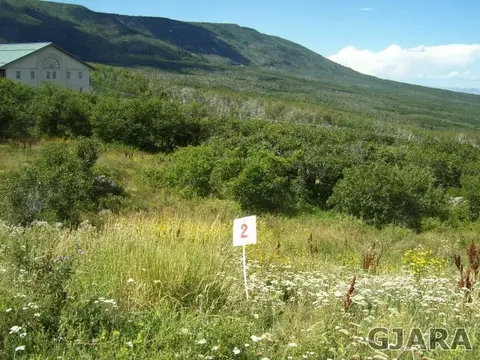 411 Coyote Run, Mesa, CO 81643 photo 1