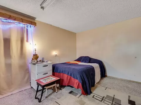 820 E Pabor Ave, Fruita, CO 81521 photo 16