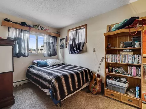 820 E Pabor Ave, Fruita, CO 81521 photo 18