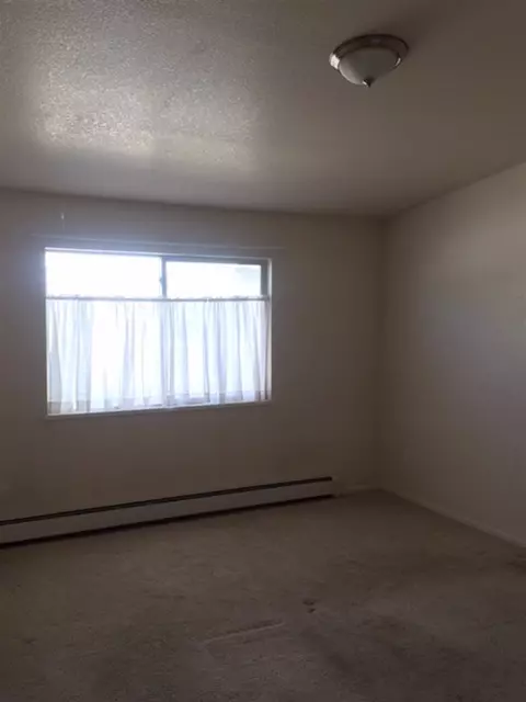 1279 E Carolina Ave, Fruita, CO 81521 photo 10