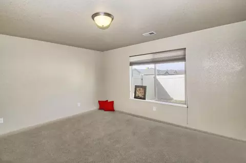 199 Red Rocks St, Fruita, CO 81521 photo 18