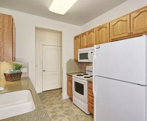 1244 Marigold Ave, Fruita, CO 81521 photo 14