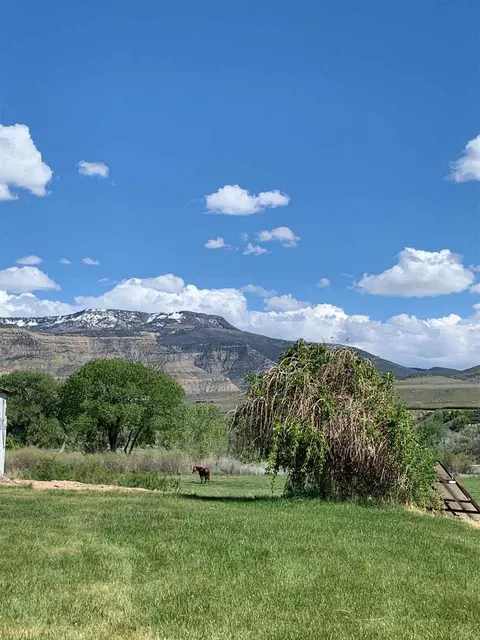 3645 Front St, Palisade, CO 81526 photo 23