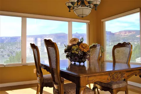 941 Prince Ct, Fruita, CO 81521 photo 9
