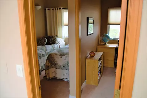 941 Prince Ct, Fruita, CO 81521 photo 13