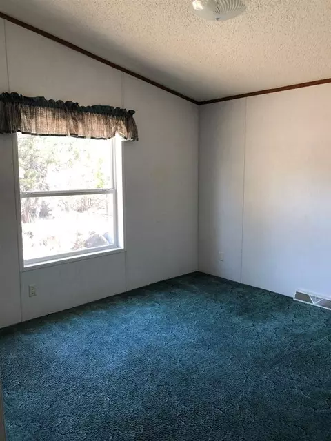 20982 Brimstone Rd, Cedaredge, CO 81413 photo 21