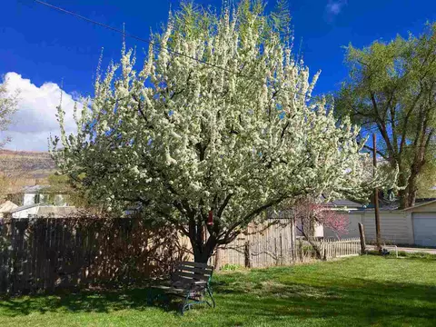 149 E 2nd St, Palisade, CO 81526 photo 5