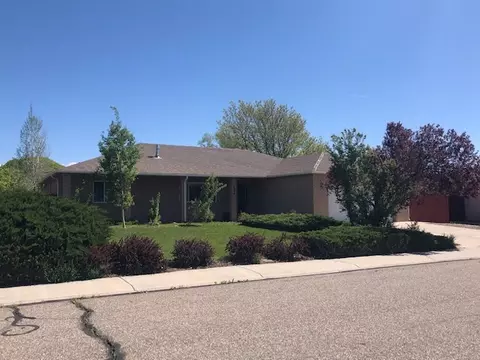 694 Pear Dr, Fruita, CO 81521 photo 1