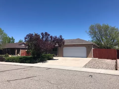 694 Pear Dr, Fruita, CO 81521 photo 2