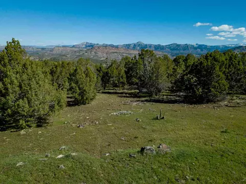 50010 Eagles Way, Mesa, CO 81643 photo 9