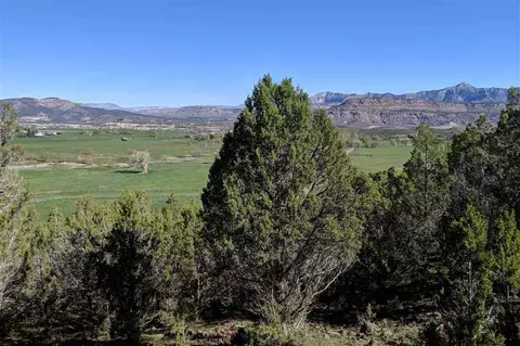 50010 Eagles Way, Mesa, CO 81643 photo 15